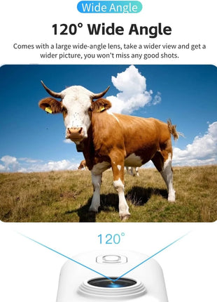 4K HD Mini Pet Collar Camera – 1080P WiFi Wide Angle Action Cam UK